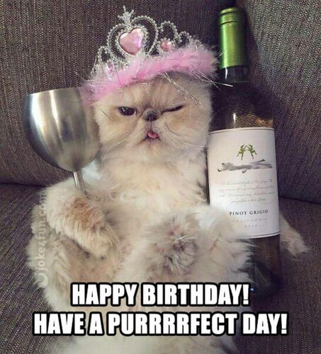 cat-birthday-memes-28-720x795.jpg