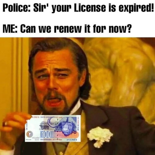 Licence Renewal in SA.jpg