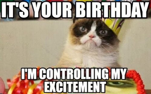 cat-birthday-memes-14-720x448.jpg