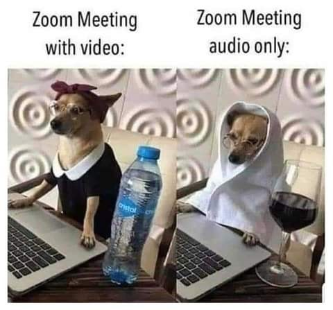 Zoom video vs audio.png