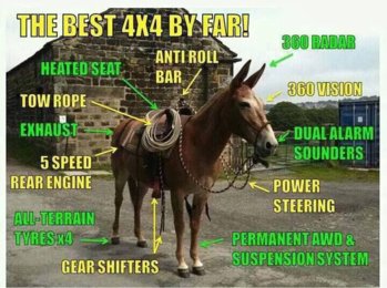 best 4x4.jpg