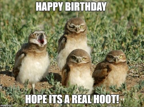 35-happy-birthday-owl-meme.jpg