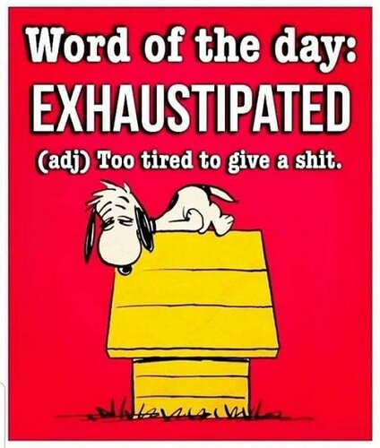 Word of the Day_Exhaustipated.jpg