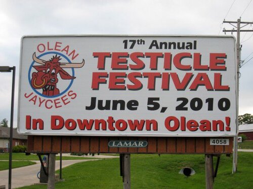 17th Annual Testicle Festival.jpg