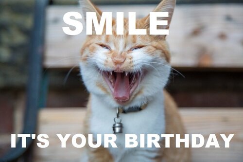 Funny-Happy-Birthday-Memes-1024x683.jpg