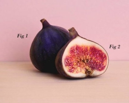 Fig 1 Fig 2.jpg