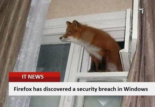 Firefox has discovered a secuity breach.jpg