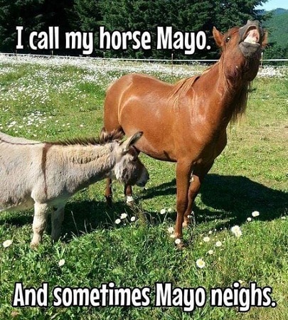 I call my horse Mayo.jpg