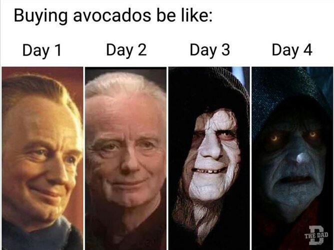 MrGSmokeFree Avo.jpg