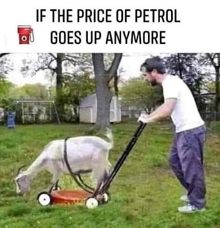 IF THE PRICE OF PETROL.jpg