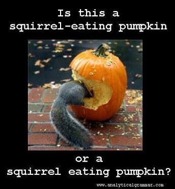 Squirrel eating pumpkin.jpg