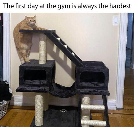 MrGSmokeFree Gym.jpg