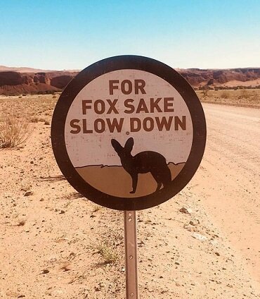 For Fox Sake.jpg