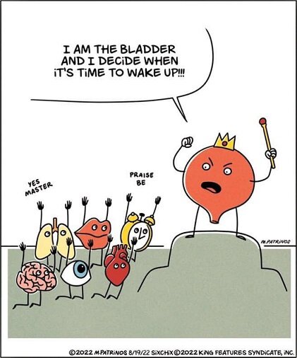 I am the bladder.jpg