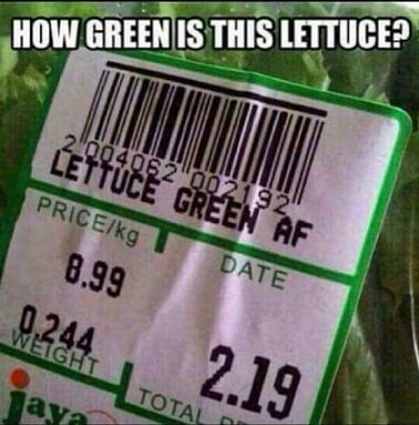 Lettuce green af.jpg