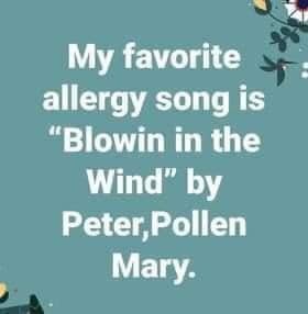 My favourite allergy song.jpg