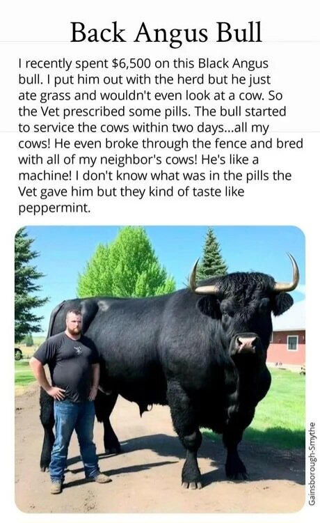 MrGSmokeFree Bull.jpg