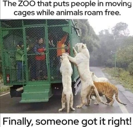 MrGSmokeFree Zoo.jpg