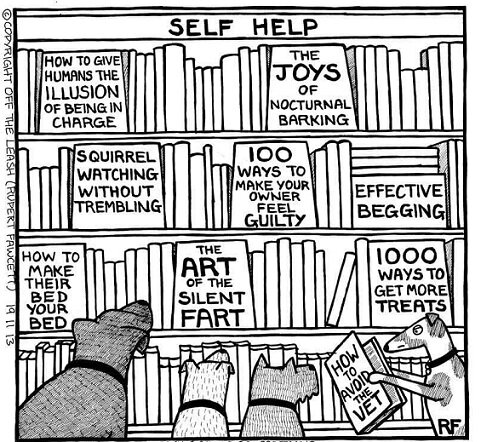 Self-help for Dogs.jpg