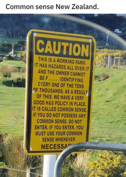 Common Sense New Zealnd.png