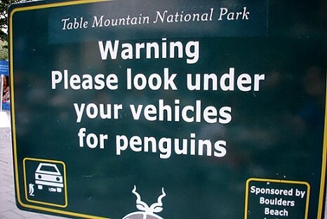 Funny-Signs-Penguins-50-48370.jpg