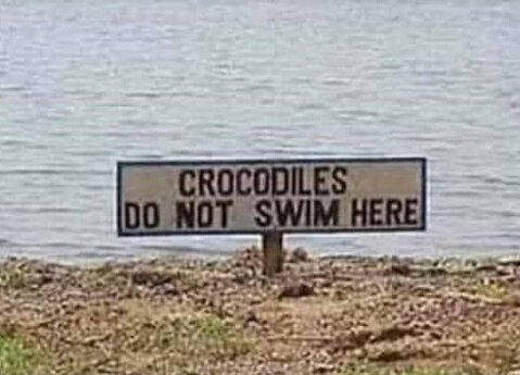 Crocodiles do not.jpg