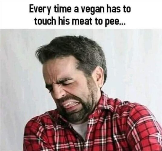 MrGSmokeFree Vegan meat.jpg