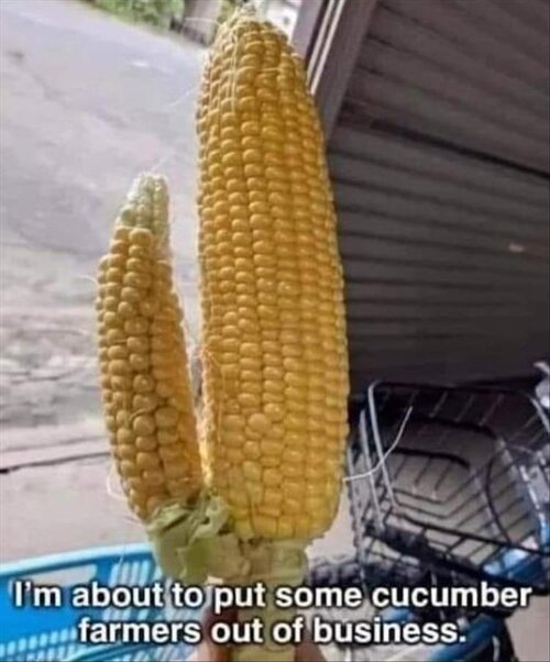 MrGSmokeFree Corn dildo.jpg