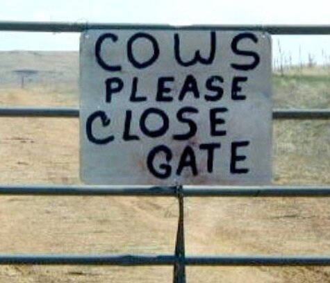 Cows please close gate.jpg