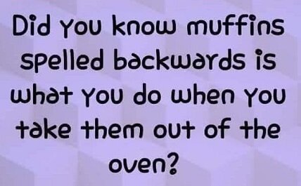 Did you know muffins.jpg