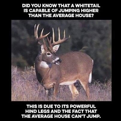 Did you know that a whitetail.jpg