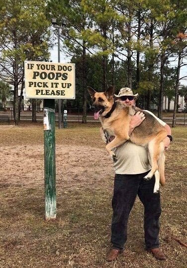 If your dog poops.jpg