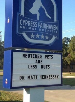 Neutered Pets.jpg