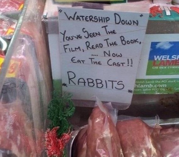 you-wanted-rabbits.jpg