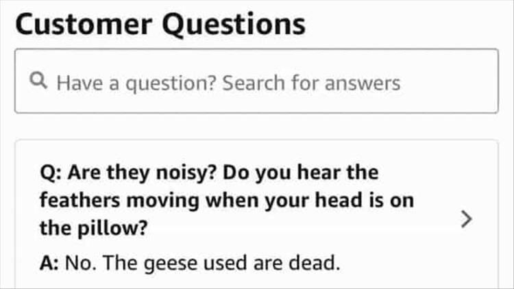 Amazon product questions.jpg