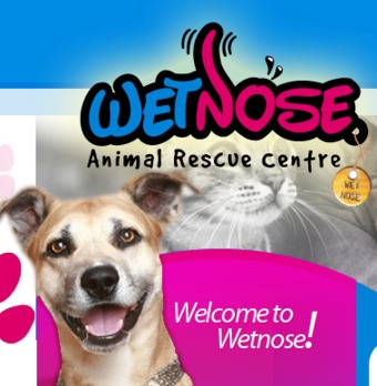 wetnose.png