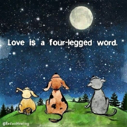 Dogs_Love is a four-letter word.png