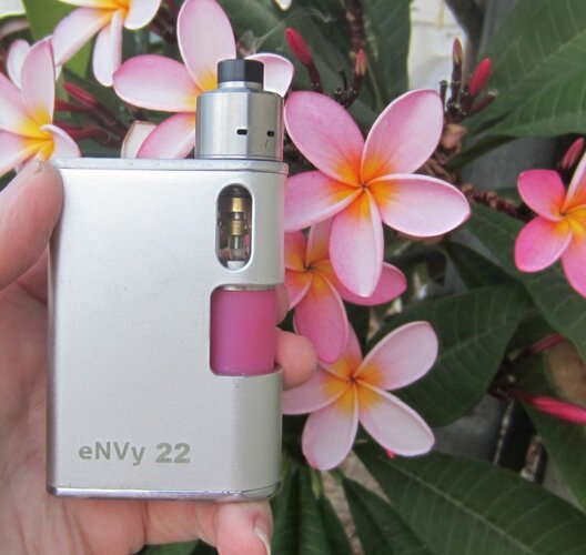 envy 22 squonker.JPG