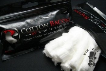 cotton bacon v2 b.jpg