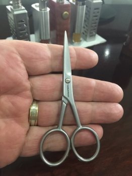 Scissors 001.JPG