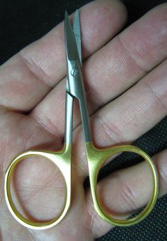 scissors.JPG