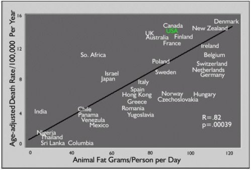 Animal Fat vs Intestinal Cancer(1).jpg