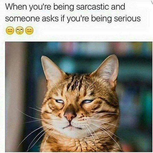 Sarcastic.jpg