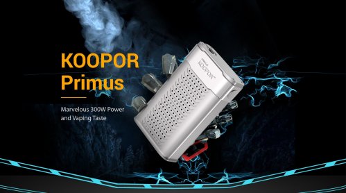 smok koopor primus 300.jpg