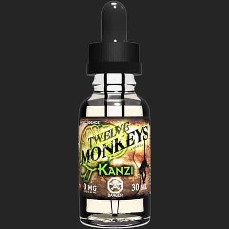 kanzi-twelve-monkeys-vapor.jpg