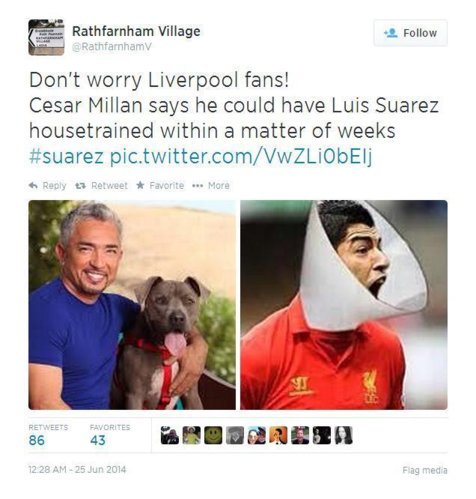 suarez.jpg