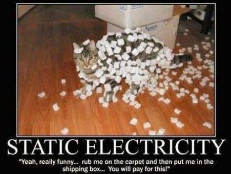 Static Electricity.jpg