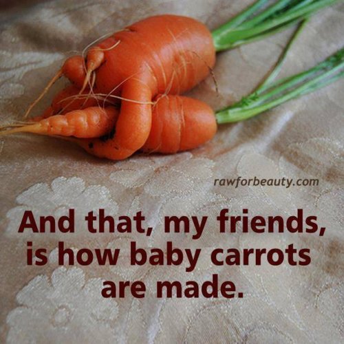 baby carrots.jpg