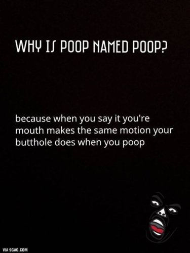 Why is Poop.jpg