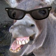 Tiff-Donkey